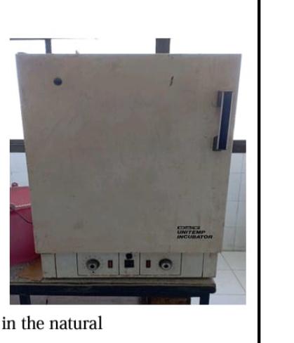 Uni temperature Incubator